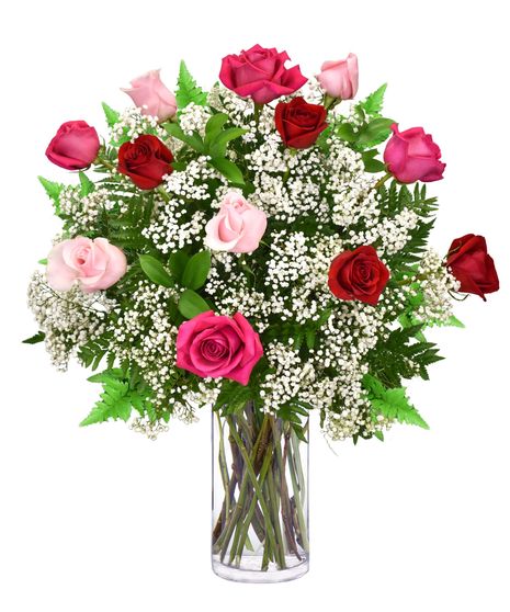 One Dozen Pink and Red Roses