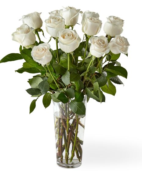 One Dozen White Roses