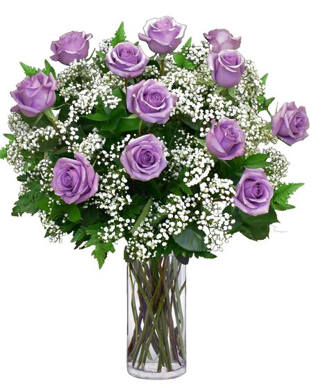 One Dozen Purple Roses
