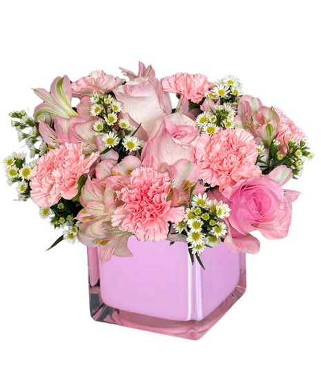 Rosy Dreams