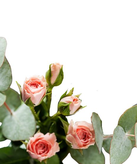 Spray Rose Stem