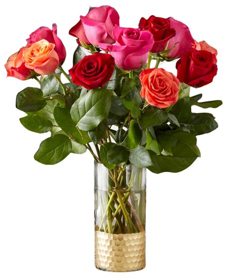One Dozen Bright Roses