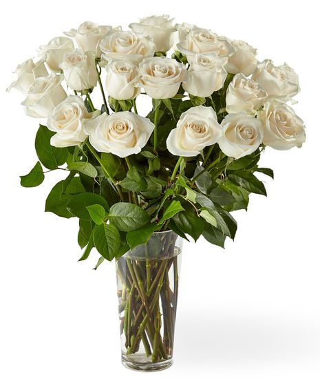 white roses in a clear vase