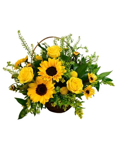 Sunflowers and viking poms nestled in a dark brown basket, accented with solidago and craspedia.