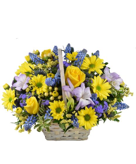 Bright Basket