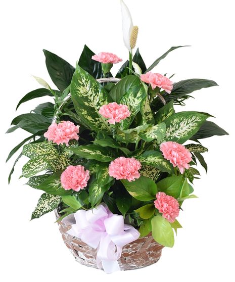 Classic Garden Basket