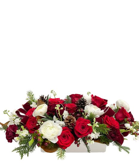 Crimson Elegance