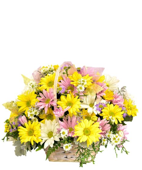Daisies Don't Tell