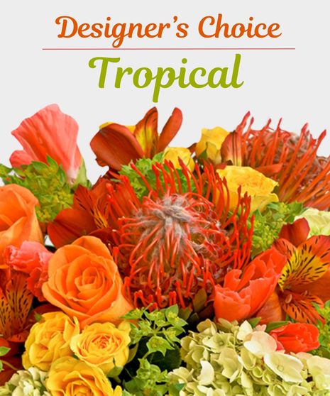 Designer's Choice Tropical