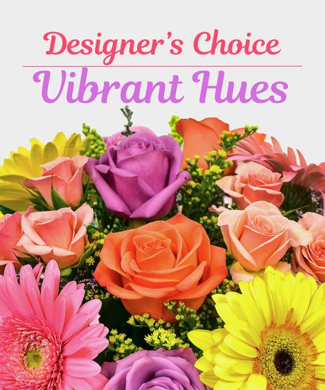 Designer's Choice Vibrant Hues