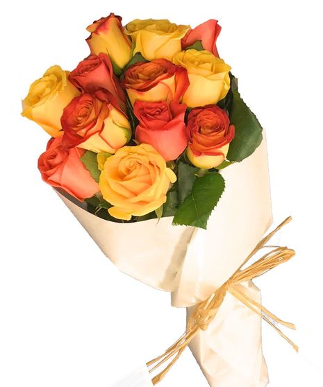 One Dozen Wrapped Roses, Assorted