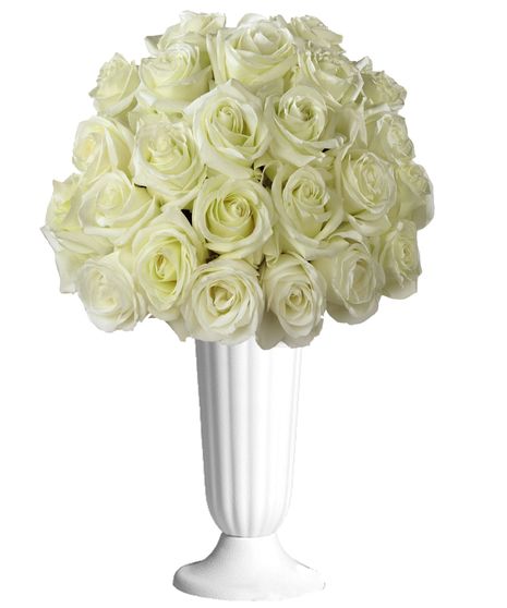 Elegant Vase Arrangement