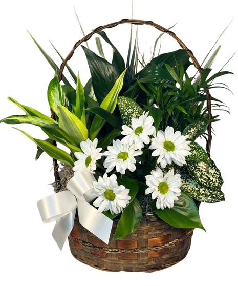 Grace Basket Garden