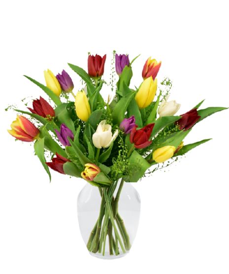 Timeless Tulips
