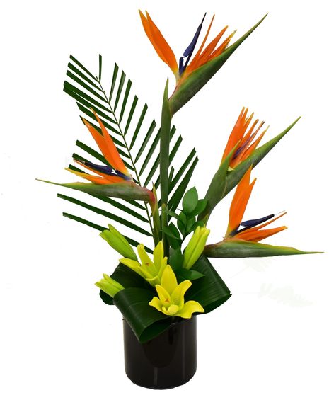 Hot Tropics