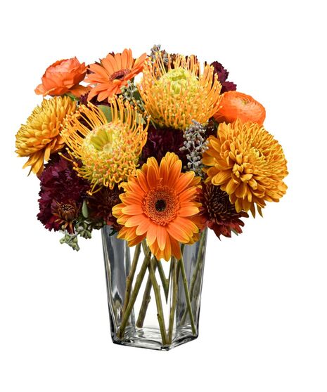  protea, vibrant gerbera, elegant chrysanthemums, and delicate ranunculus; all styled in a contemporary, low-profile design