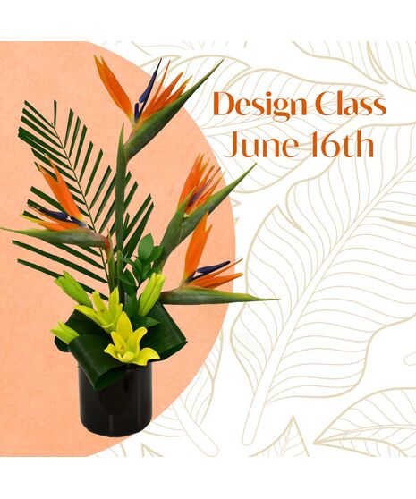 June Design Class