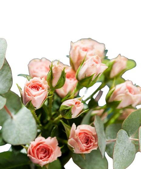 Spray Rose Bulk