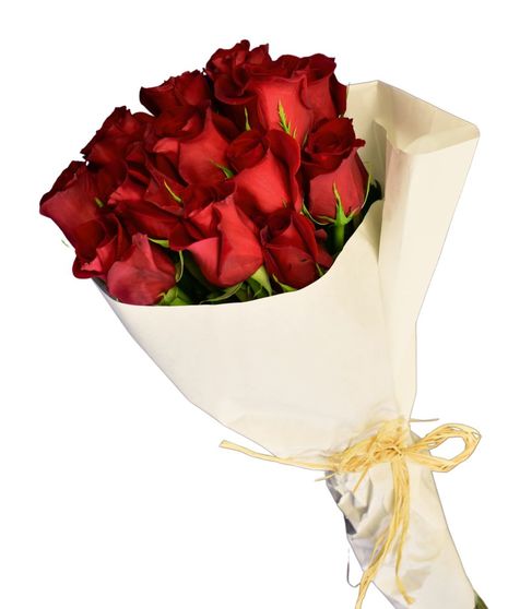 One Dozen Red Wrapped Roses