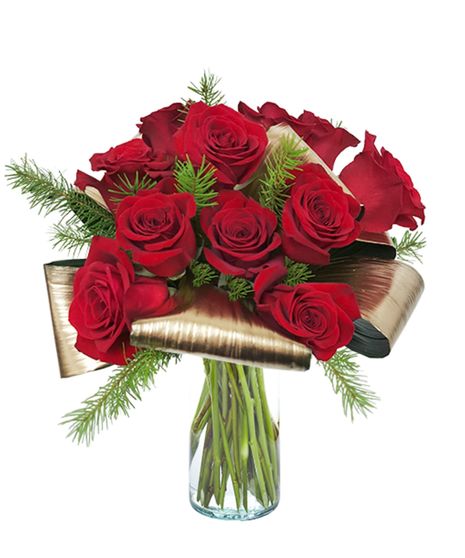 Winter Rose