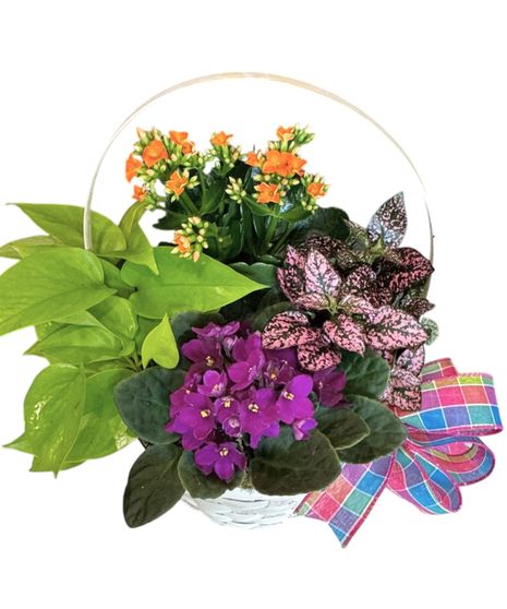 Blooming Basket
