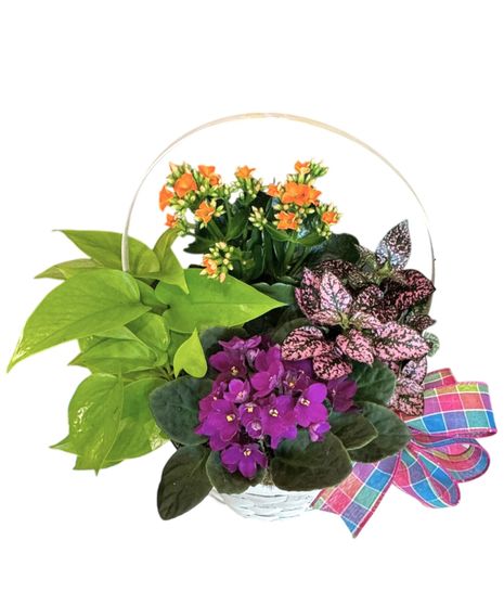 Blooming Basket