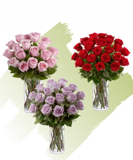 Roses Roses Roses